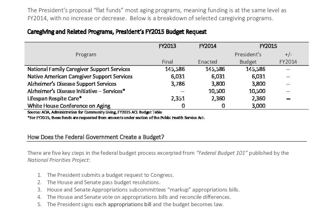 FY2015BudgetBrief1