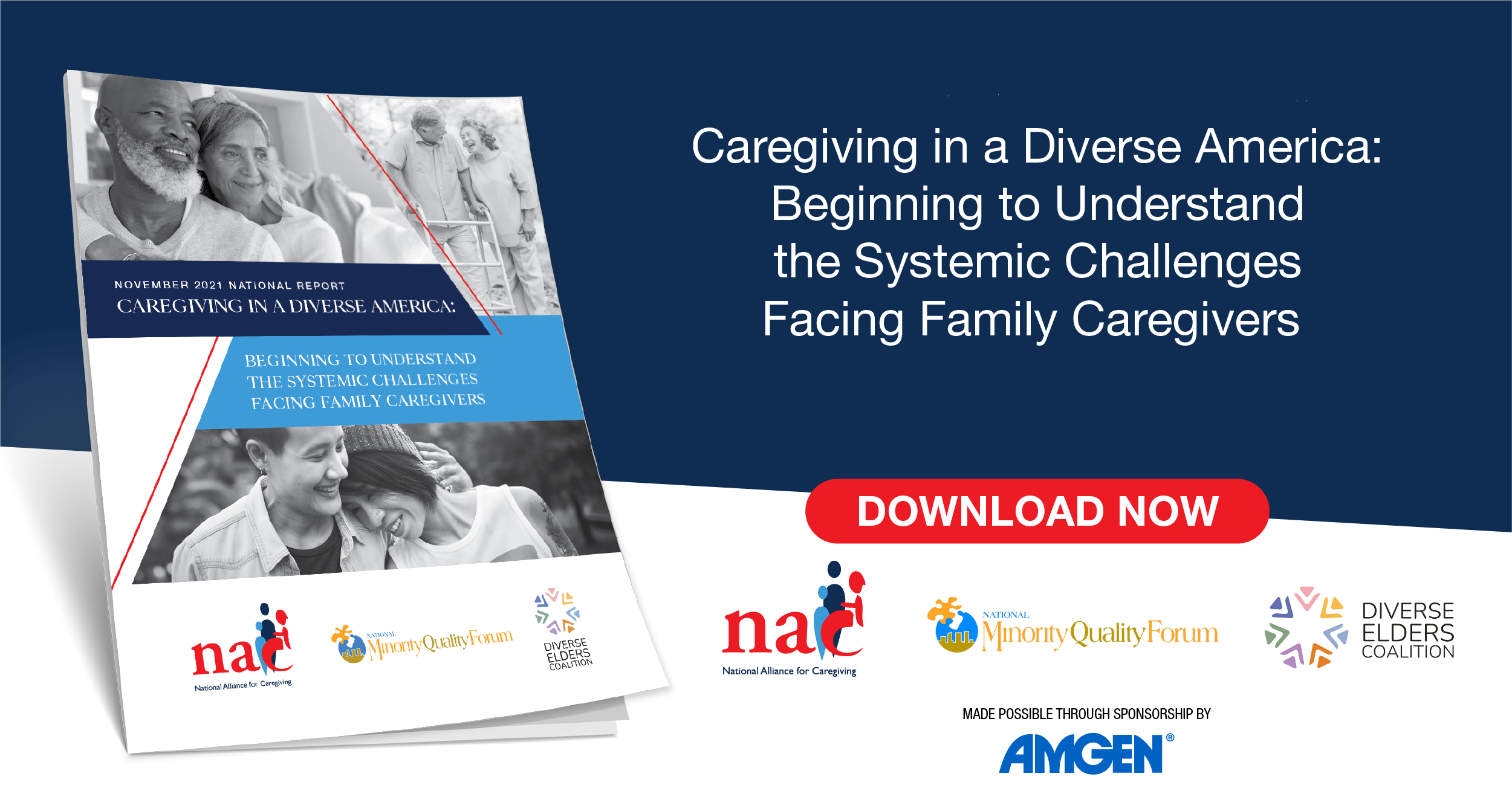 Caregiving In a Diverse America Beginning to Understand the Systemic Challenges Facing Family Caregivers