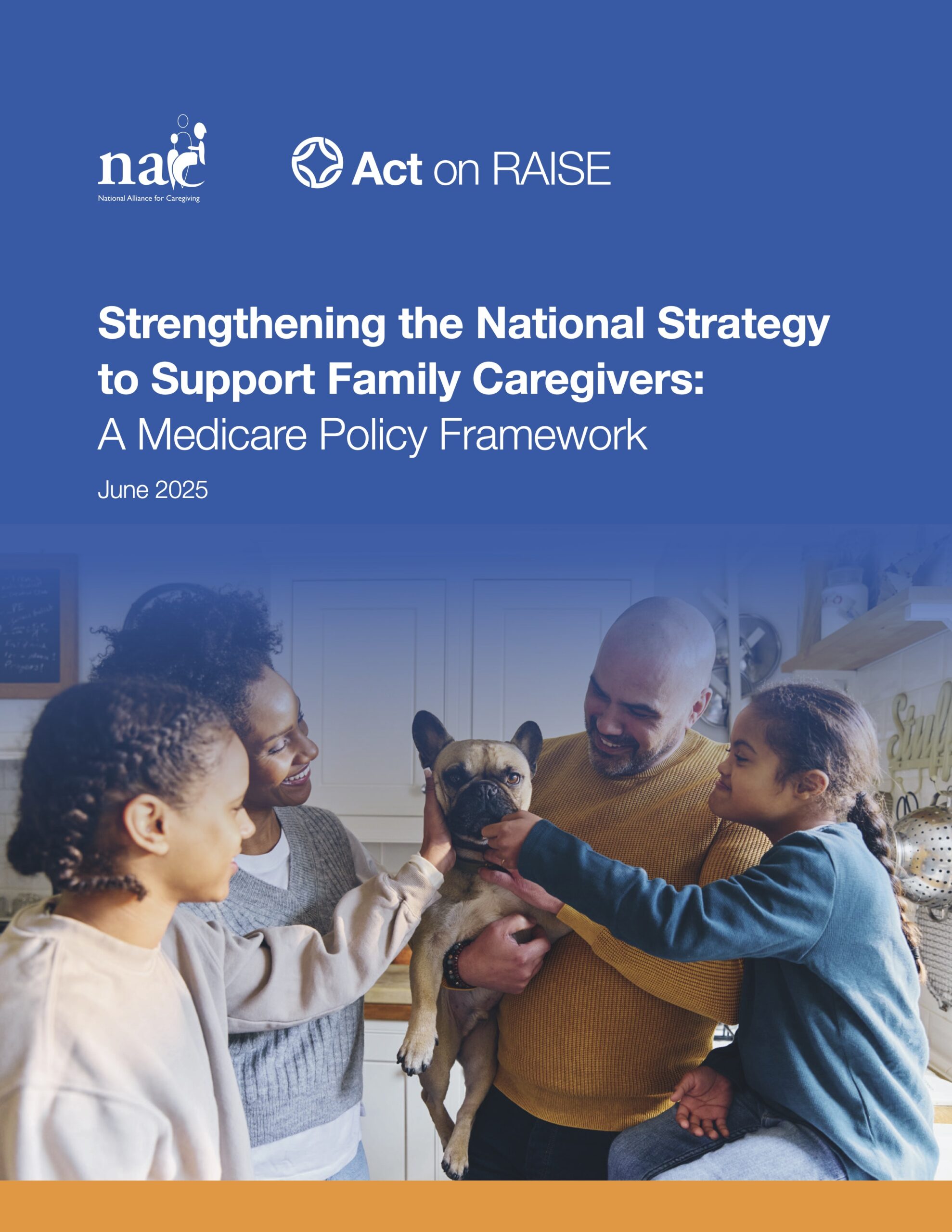 Policy Brief: Strengthening the National Strategy to Support Family Caregivers: A Medicare Policy Framework